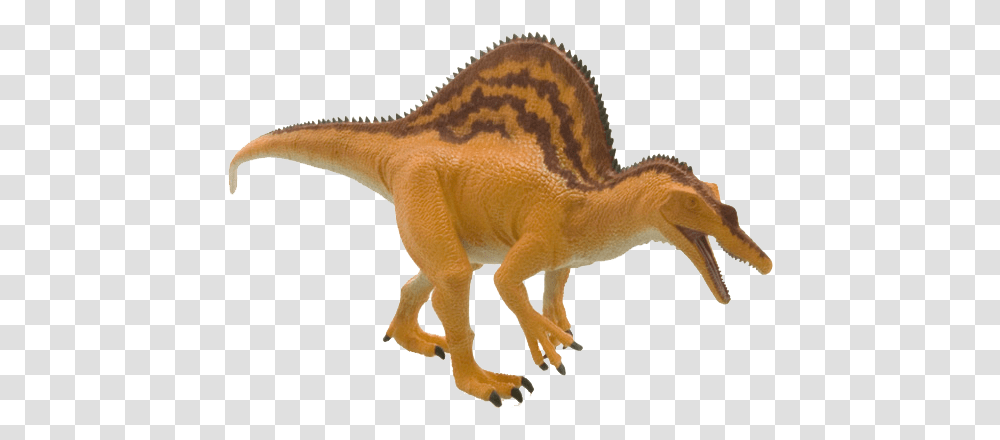 Download Spinosaurus Image With No Animal Figure, Dinosaur, Reptile, T-Rex Transparent Png