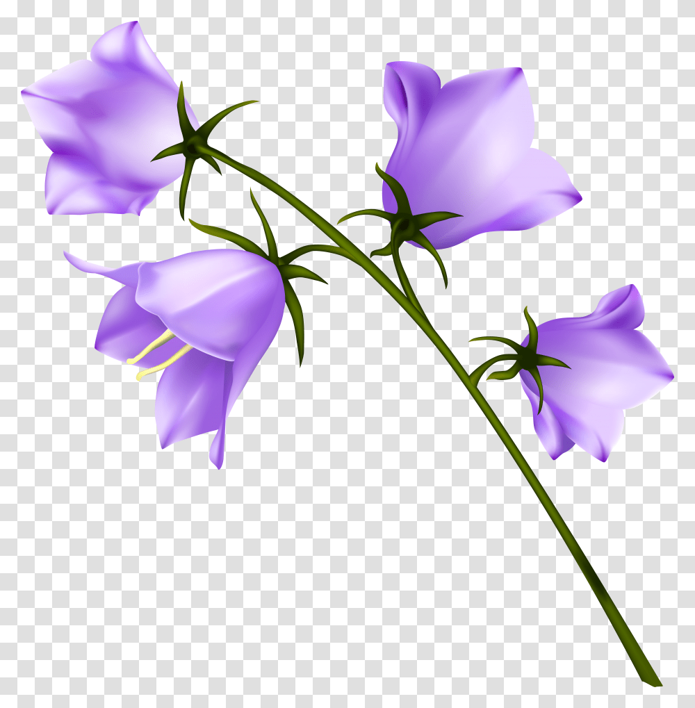 Download Spring Flowers Image With No Background Flower Transparent Png