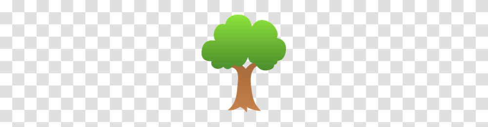 Download Spruces Free Icon And Clipart Freepngclipart, Green, Plant, Balloon, Tree Transparent Png