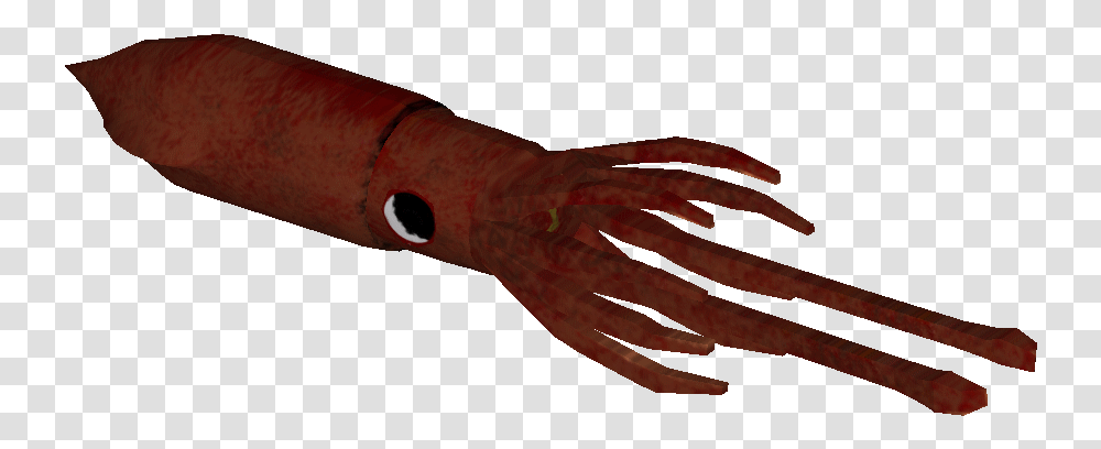 Download Squid Blood, Person, Human, Animal, Sea Life Transparent Png