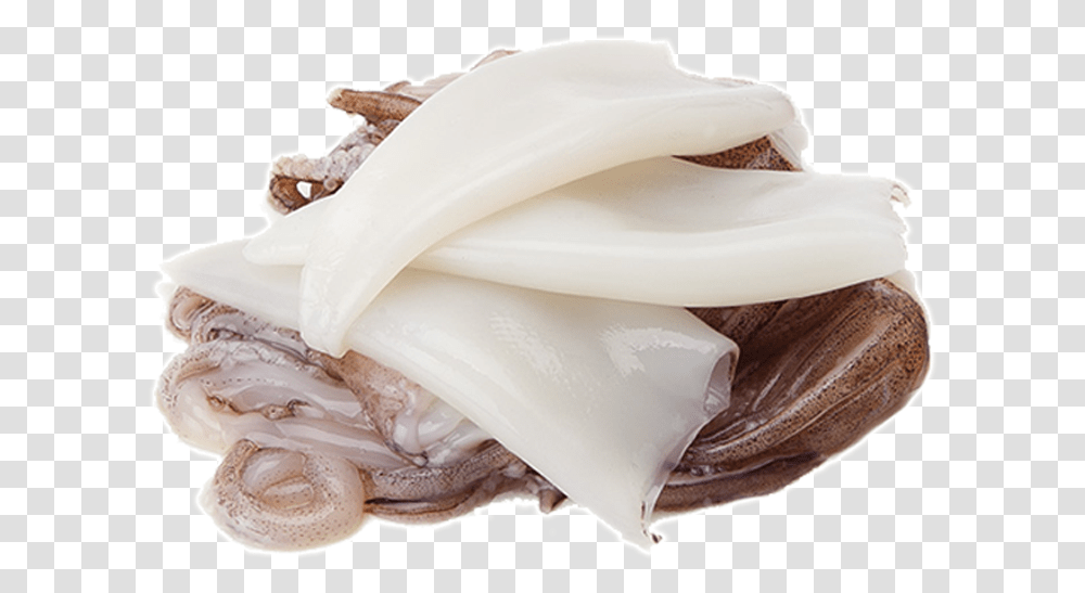 Download Squid Grasa Animal Chocolate, Plant, Food, Vegetable, Nut Transparent Png