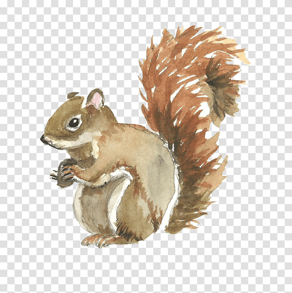 Download Squirrel Illustration Hd Uokplrs Watercolor Painting Of Squirrel, Rodent, Mammal, Animal, Fungus Transparent Png