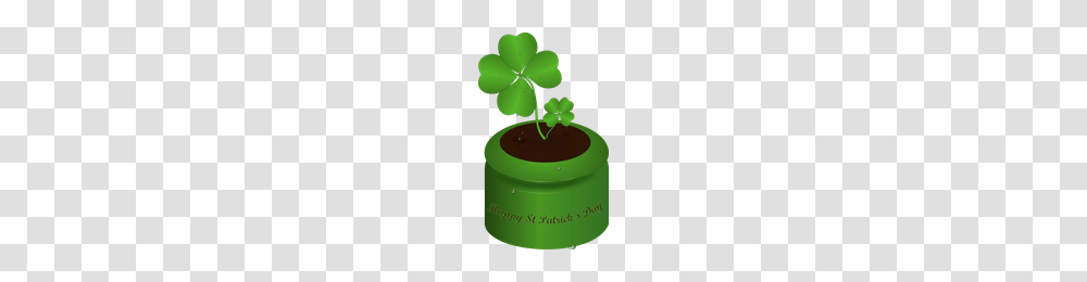 Download St Patricks Day Category Clipart And Icons, Plant, Green, Sprout, Bottle Transparent Png