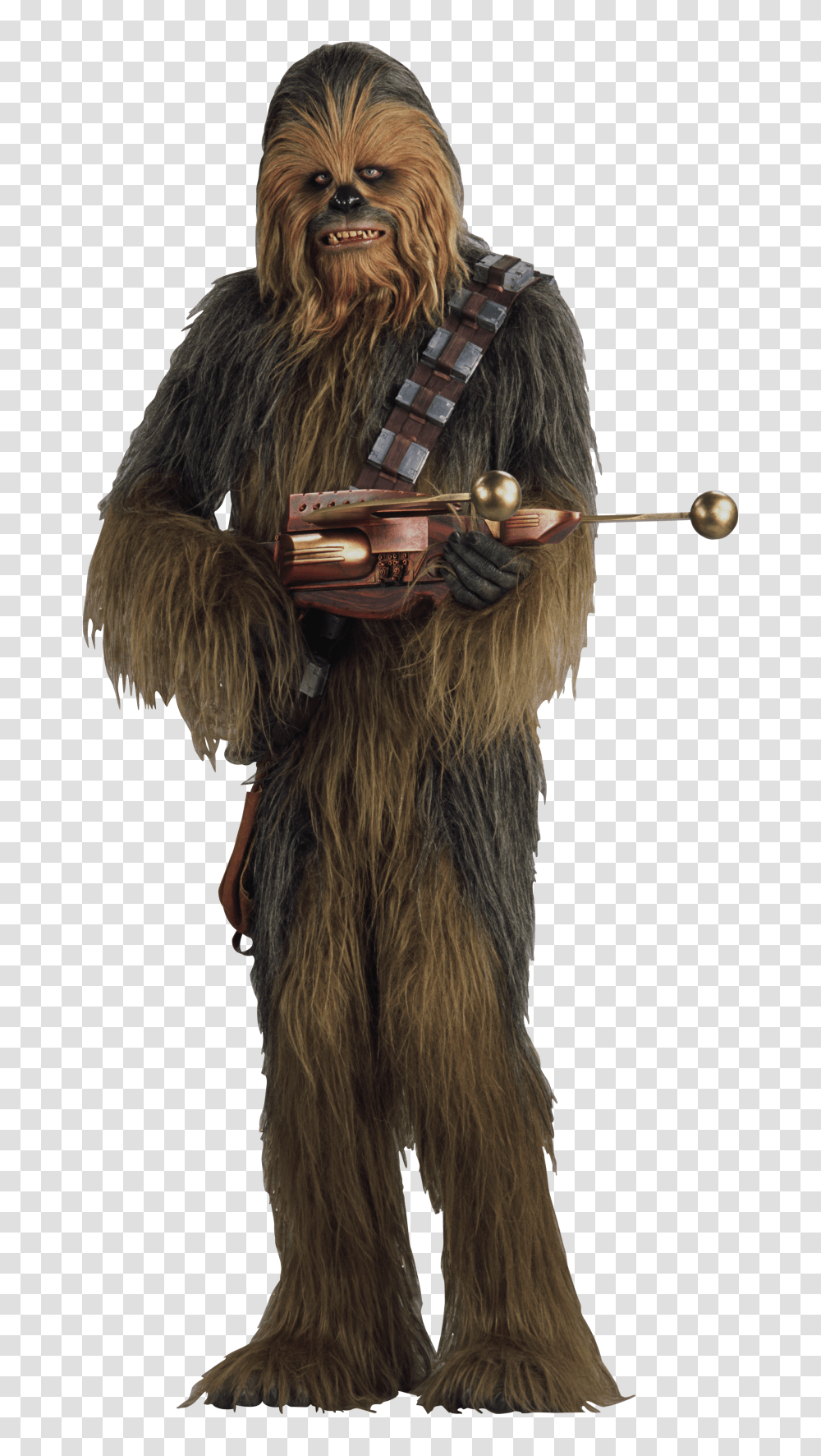 Download Star Wars File Hq Image Wookie From Star Wars Transparent Png