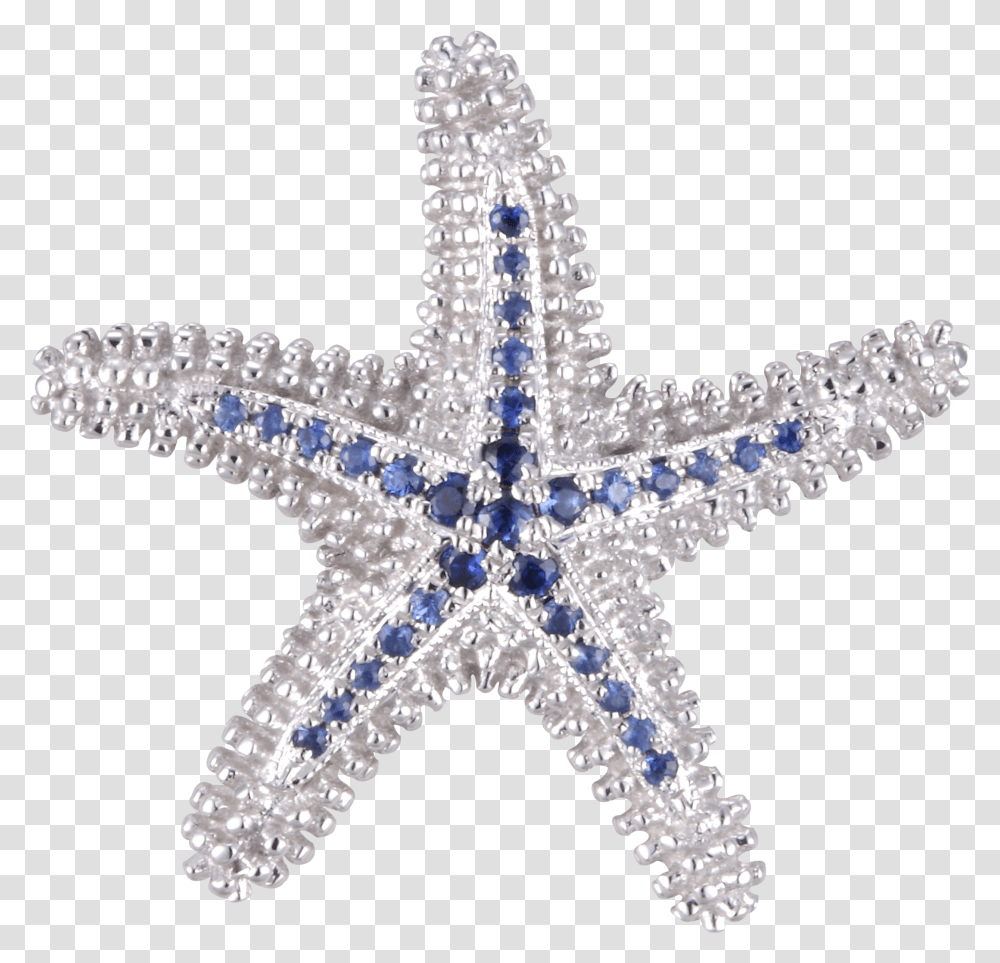 Download Starfish Beach Collection Char Portable Network Graphics Transparent Png
