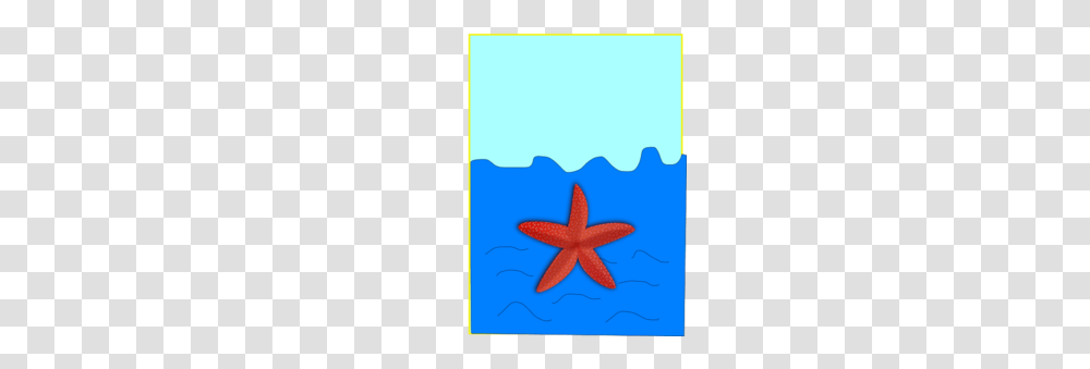 Download Starfish Clipart Starfish Marine Mammal Marine Biology, Star Symbol, Animal, Sea Life, Invertebrate Transparent Png