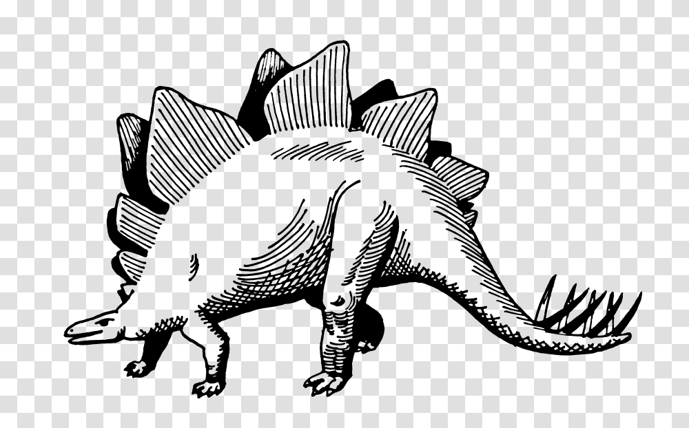 Download Stegosaurus Clipart, Gray, World Of Warcraft Transparent Png