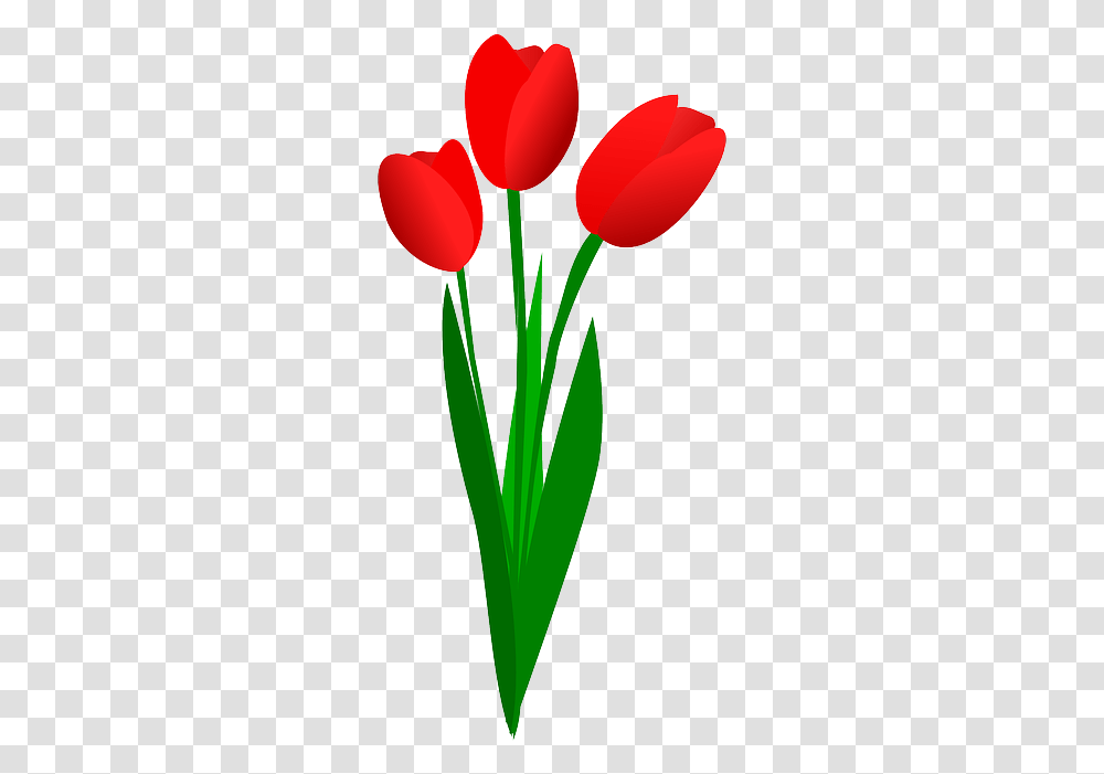 Download Stem Clipart Bunga Tulip Flowers Clip Art Full Clipart Tulip, Plant, Blossom, Balloon, Rose Transparent Png