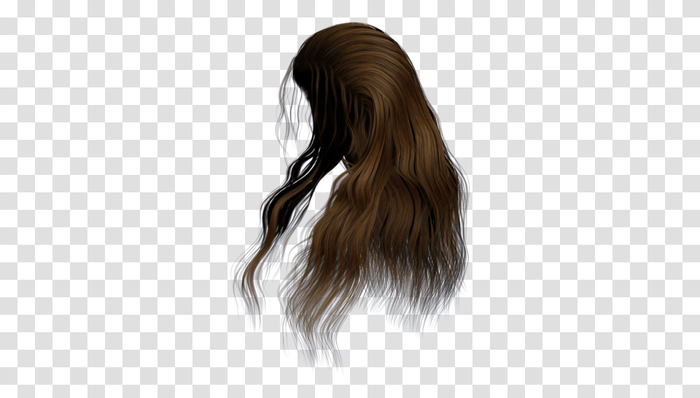 Download Stock Hair Images Girl Hair Download, Person, Human, Wig Transparent Png