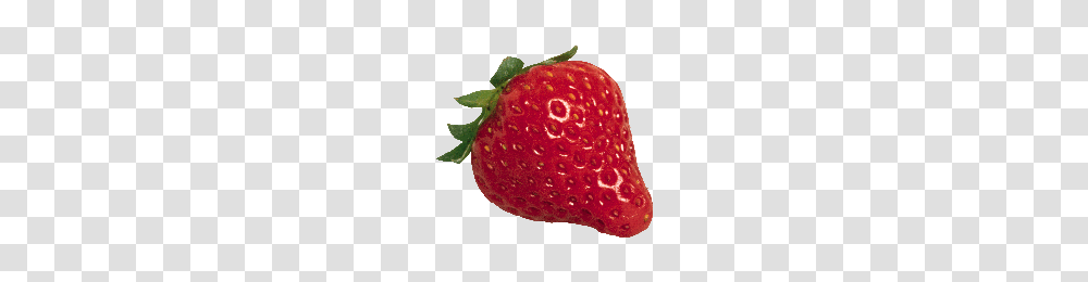 Download Strawberry Free Photo Images And Clipart Freepngimg, Fruit, Plant, Food, Fungus Transparent Png