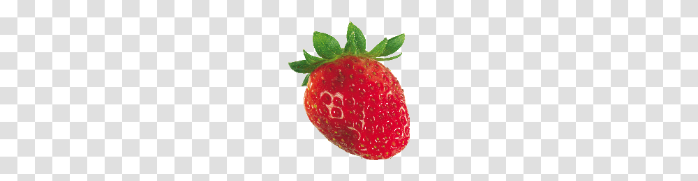 Download Strawberry Free Photo Images And Clipart Freepngimg, Fruit, Plant, Food Transparent Png