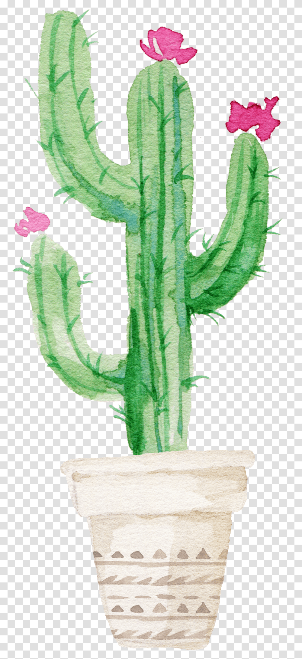 Download Succulent Plant Watercolor Painting Watercolor Cactus With Flower Drawing Transparent Png