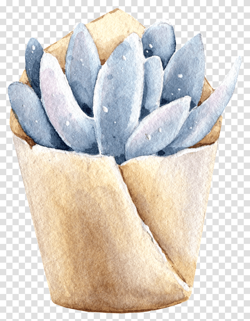 Download Succulents Hand Painted Watercolors Of Paper, Plant, Petal, Flower, Blossom Transparent Png