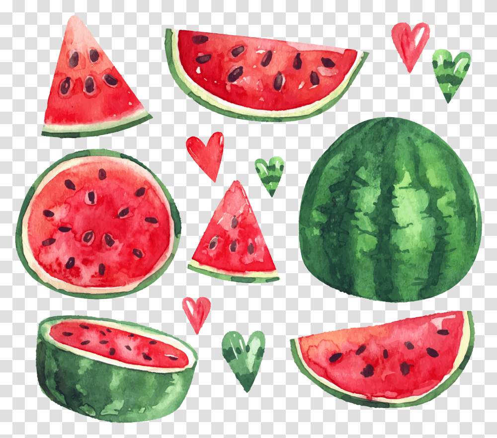 Download Summer Citrullus Ice Euclidean Vector Watermelon Watermelon Watercolor Clipart, Plant, Fruit, Food, Lunch Transparent Png