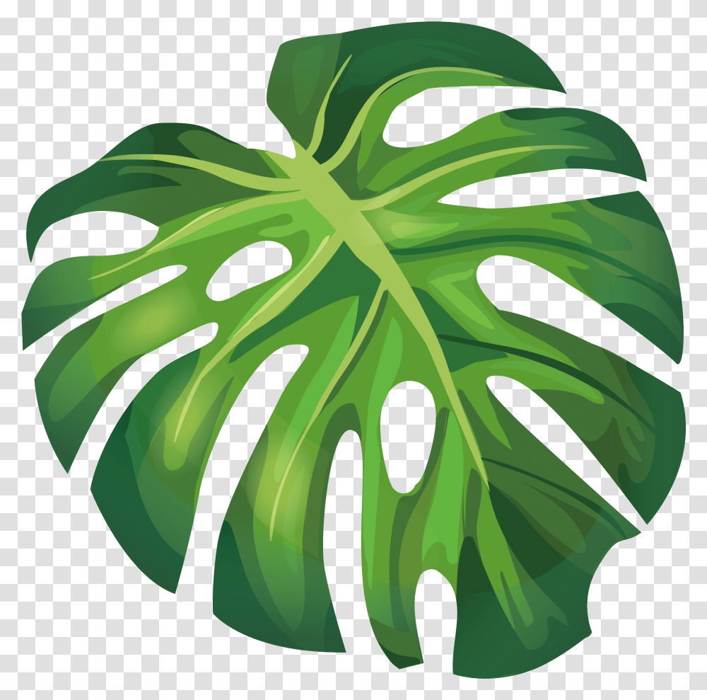 Download Summer Leaf Euclidean Leaves Illustration Arecaceae Summer Leaf Vector, Plant, Vegetable, Food, Green Transparent Png