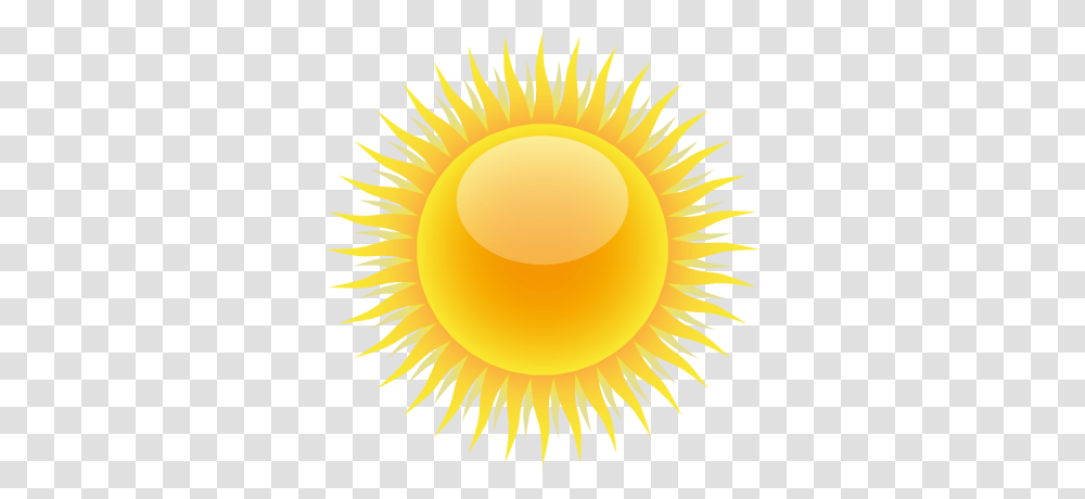 Download Sun Free Image And Clipart, Plant, Outdoors, Flower, Blossom Transparent Png