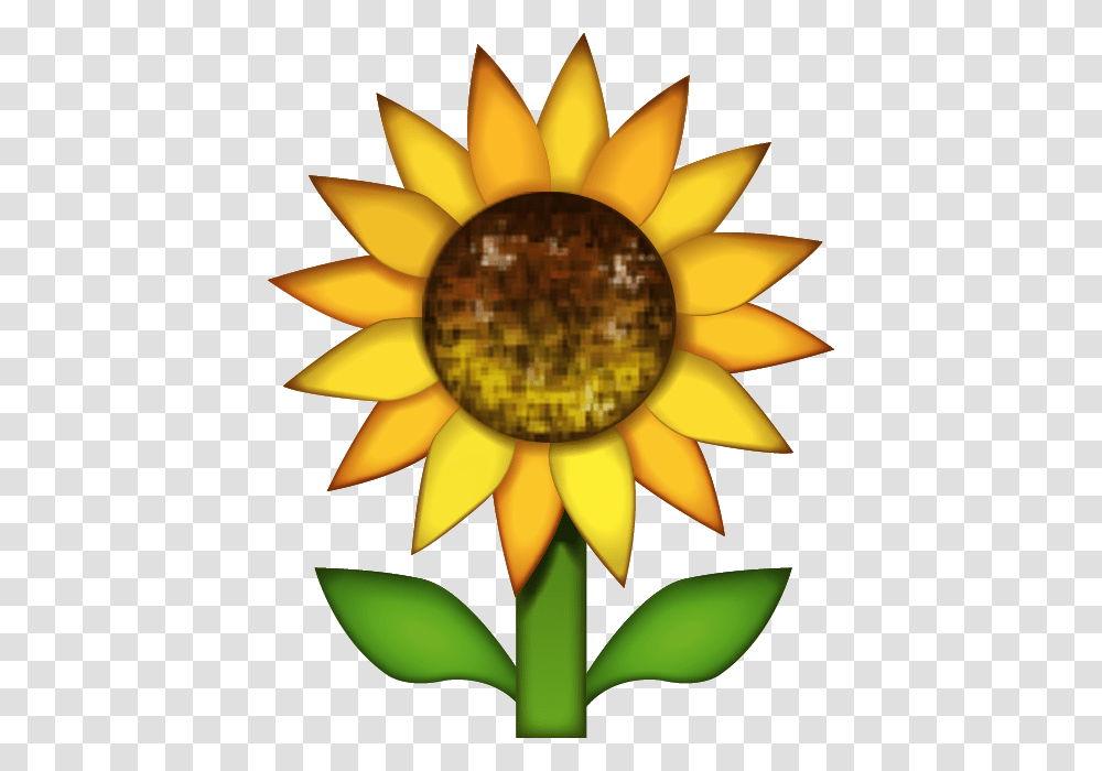 Download Sunflower Emoji Image In Emoji Island, Plant, Blossom, Lamp, Photography Transparent Png