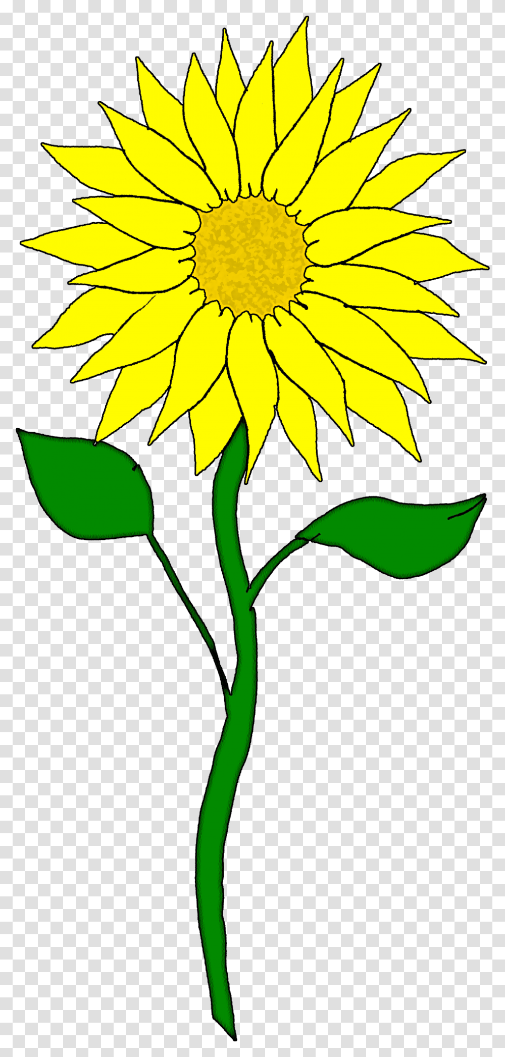 Download Sunflower Images 2 Image Clipart Free Cliparts Sunflowers, Plant, Blossom, Petal, Daisy Transparent Png