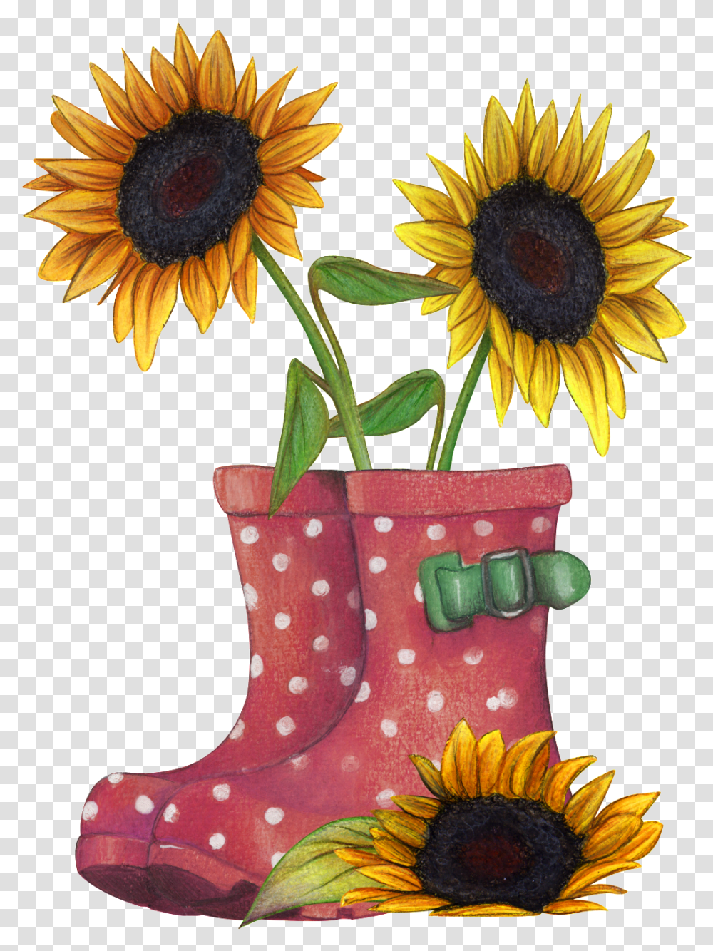 Download Sunflower Placed In Rain Boots Sunflowers Rain Boots, Plant, Blossom, Flower Arrangement, Daisy Transparent Png