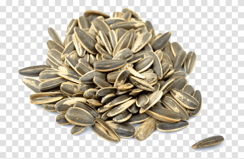 Download Sunflower Seeds Picture Vitamin E For Infertility Women, Plant, Grain, Produce, Vegetable Transparent Png