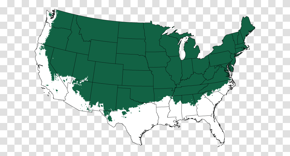 Download Sungold Sawara Cypress Tree Form Tulsa Oklahoma Usa Austin Texas Map, Diagram, Plot, Atlas, Person Transparent Png