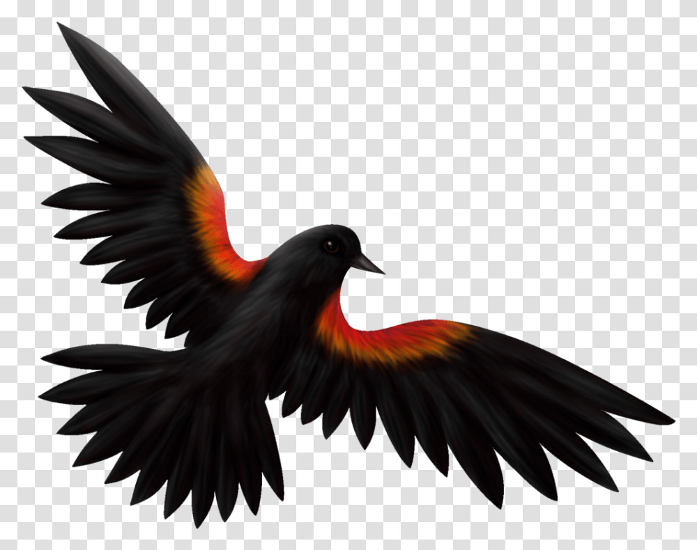 Download Svg Library Download Clip Art At Clker Com Red Winged Blackbird Clipart, Animal, Flying, Agelaius, Beak Transparent Png