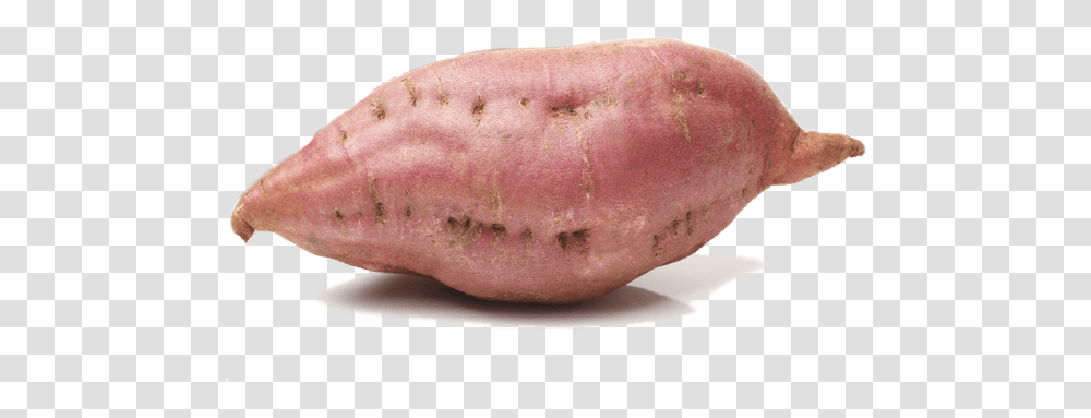 Download Sweet Potato Image Sweet Potato, Plant, Vegetable, Food, Produce Transparent Png