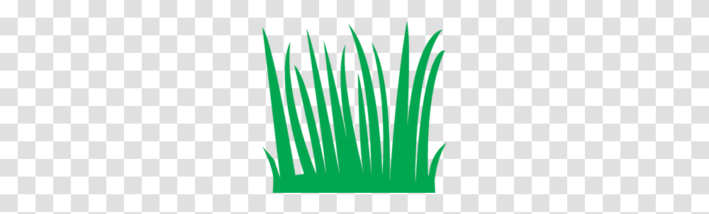 Download Tall Grass Clipart Clip Art, Plant, Tree, Home Decor, Vegetation Transparent Png