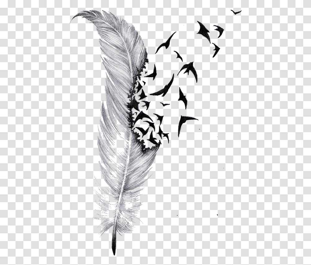 Download Tattoo Feather Drawing Bird Feather Turning Into Birds Tattoo, Graphics, Art, Floral Design, Pattern Transparent Png