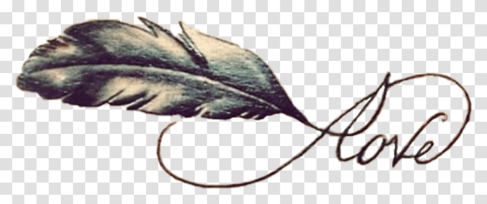 Download Tattoo Infinity Artist Symbol Love Feather Clipart Infinity Symbol Love Tattoo Designs, Leaf, Plant, Bird, Animal Transparent Png