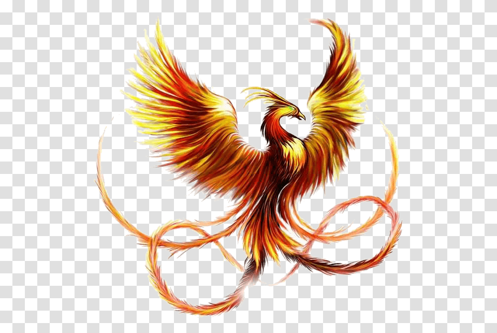 Download Tattoo Sleeve Phoenix Fenghuang Ink Firebird Hq Pheonix Tattoo, Chicken, Poultry, Fowl, Animal Transparent Png