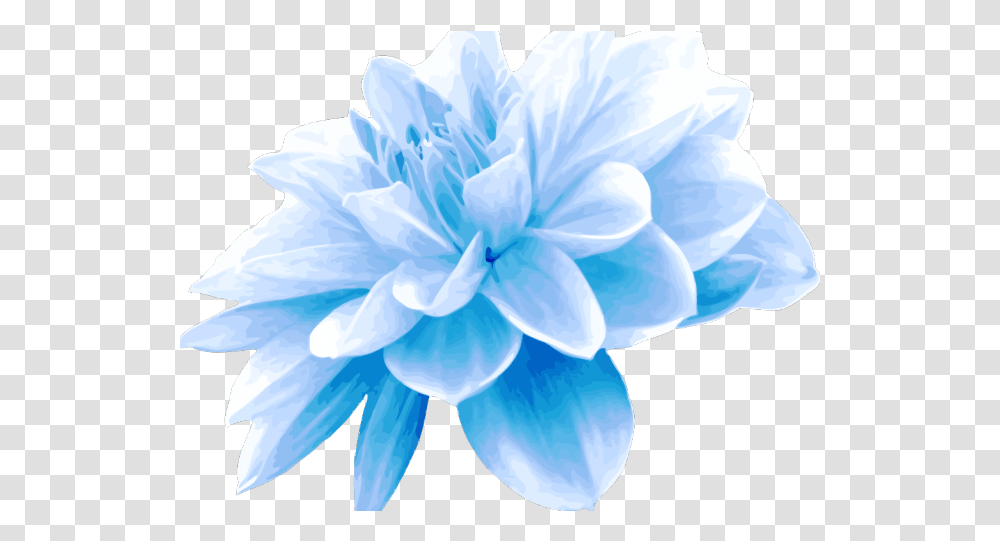 Download Teal Clipart Blue Green Flower Light Blue Flowers, Plant, Blossom, Geranium, Dahlia Transparent Png