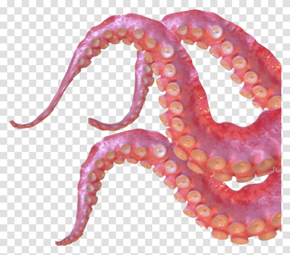 Download Tentacles Sticker Clipart Octopus Tentacles, Invertebrate, Animal, Sea Life Transparent Png