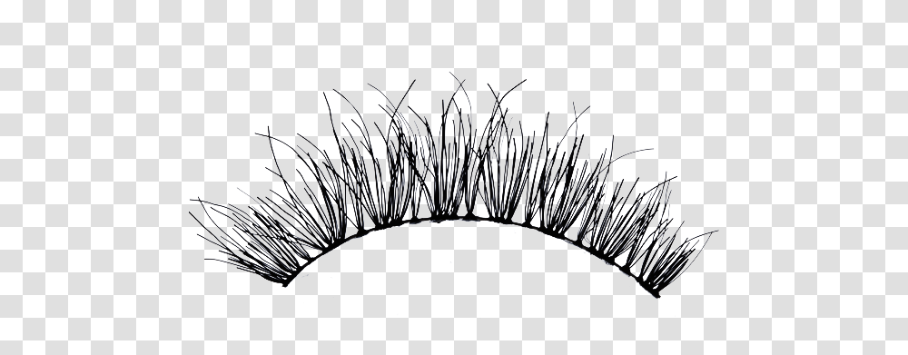 Download The Gallery For Cartoon Eyelash Hd, Nature, Outdoors, Fireworks, Night Transparent Png