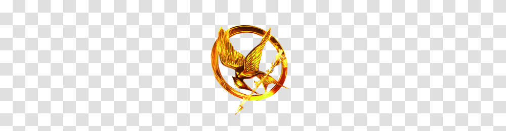 Download The Hunger Games Free Photo Images And Clipart, Helmet, Apparel Transparent Png