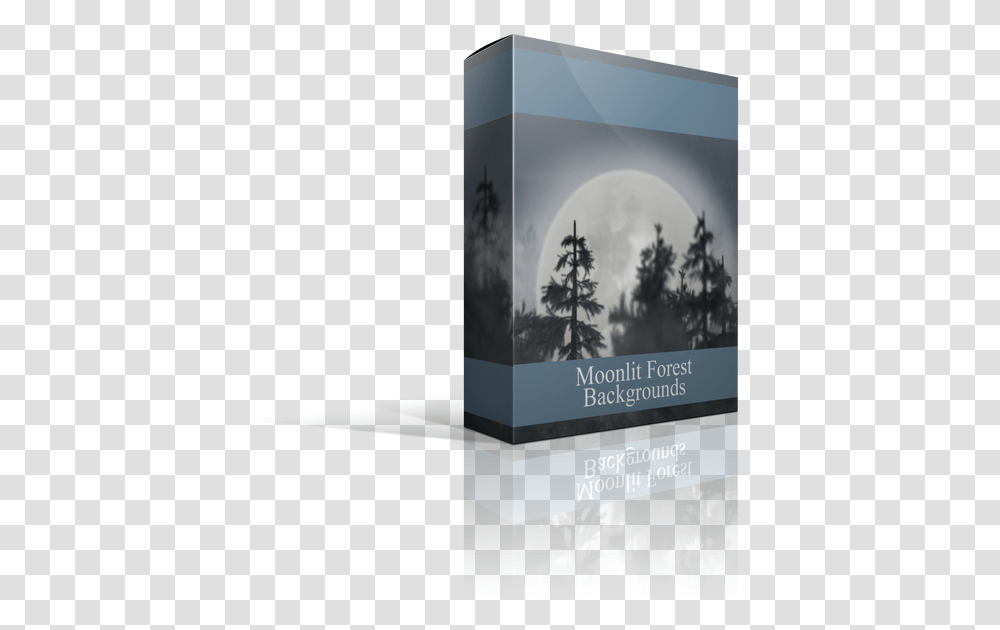 Download The Moonlit Forest Digital Backgrounds For Christmas Tree, Plant, Vegetation, Conifer, Fir Transparent Png