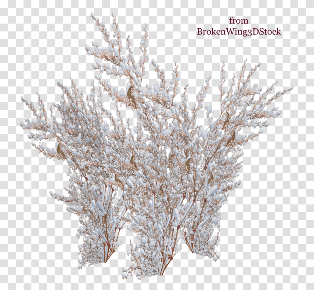 Download The Snow Winter Bush, Nature, Outdoors, Plant, Mineral Transparent Png