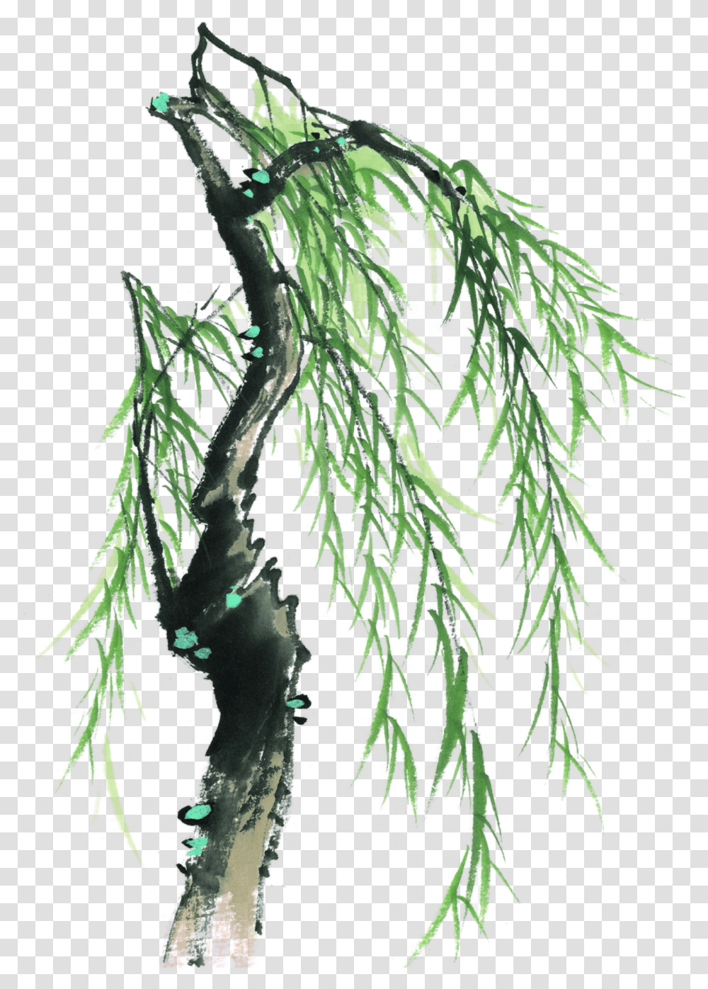 Download This Graphics Is Painted Willow Tree Element Design, Plant, Bush, Vegetation, Crystal Transparent Png