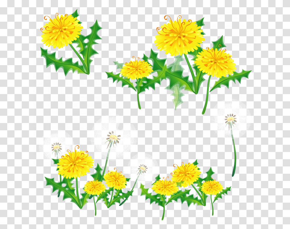 Download This High Resolution Dandelion Border Tumblr Floral, Plant, Flower, Daisy, Petal Transparent Png