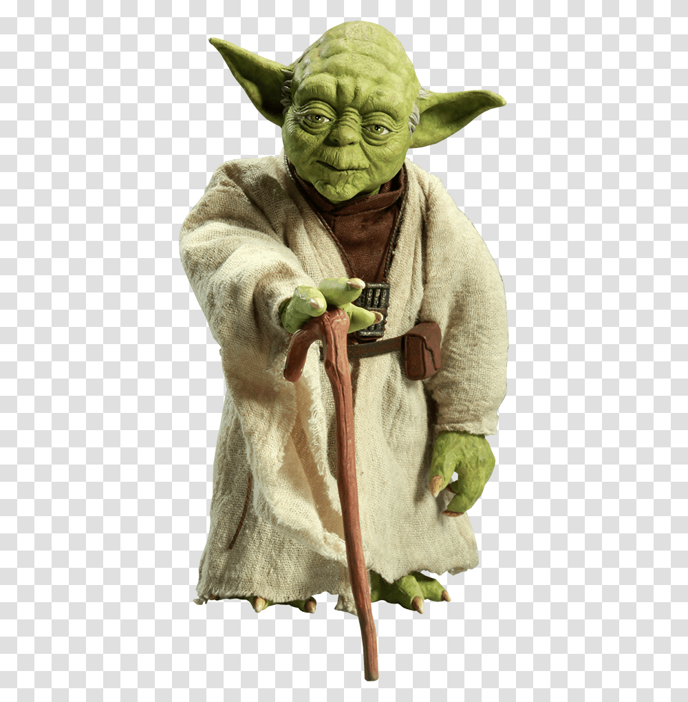Download This High Resolution Star Wars 900 Years You Reach, Person, Plant, Hat Transparent Png