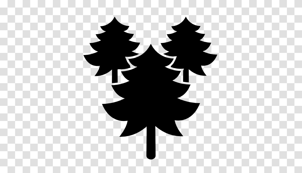 Download Three Pine Tree Image For Designing Projects, Silhouette, Stencil, Person Transparent Png