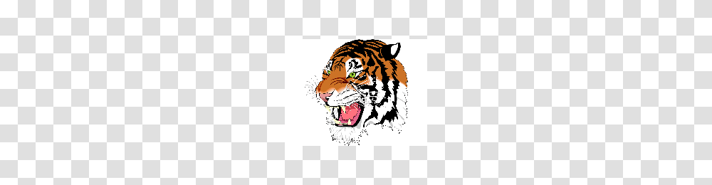 Download Tiger Free Photo Images And Clipart Freepngimg, Mammal, Animal, Wildlife, Helmet Transparent Png