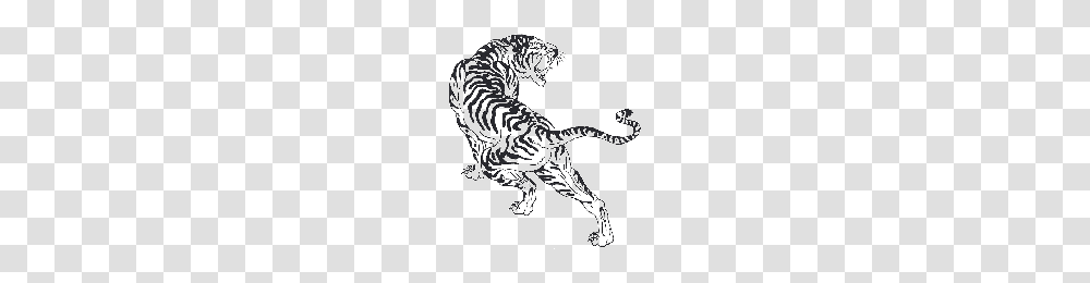 Download Tiger Tattoos Free Photo Images And Clipart Freepngimg, Animal, Wildlife, Mammal, Panther Transparent Png