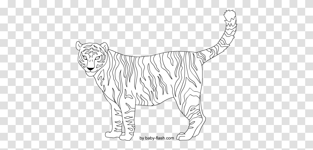Download Tigre Illustration, Mammal, Animal, Tiger, Wildlife Transparent Png