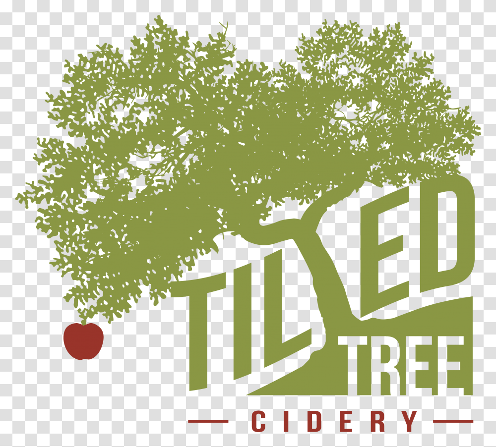 Download Tilted Tree Logo Tilted Tree Cidery Logo Tree, Plant, Kale, Cabbage, Vegetable Transparent Png