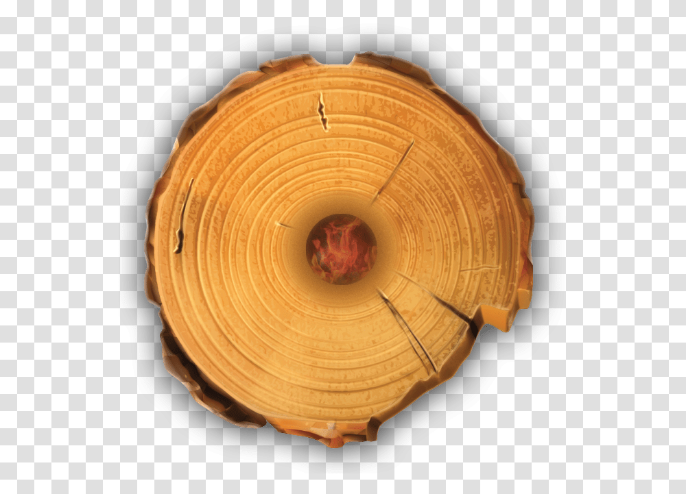 Download Timber Tote Log Top View Tree Stump Full Size Tree Stump Rings, Lamp, Clothing, Sphere, Soil Transparent Png