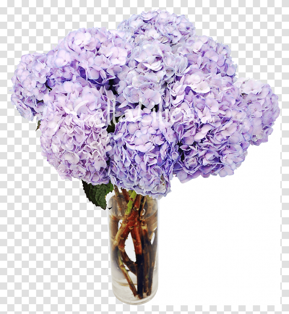 Download Tinted Hydrangeas Wedding Wedding Lavender Flower, Plant, Blossom, Flower Bouquet, Flower Arrangement Transparent Png