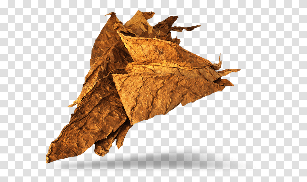 Download Tobacco Image For Free, Leaf, Plant, Bird, Animal Transparent Png