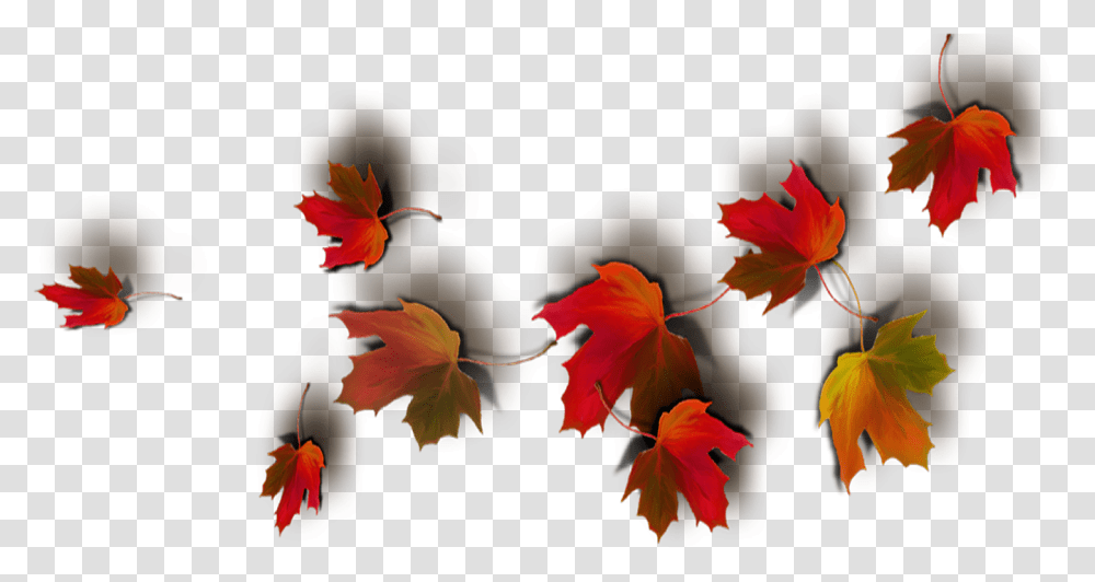 Download Today Feels Like A Real Autumn Day Real Leaves Fall Leaf Background, Plant, Petal, Flower, Hibiscus Transparent Png