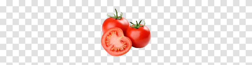 Download Tomato Free Photo Images And Clipart Freepngimg, Plant, Vegetable, Food, Ketchup Transparent Png